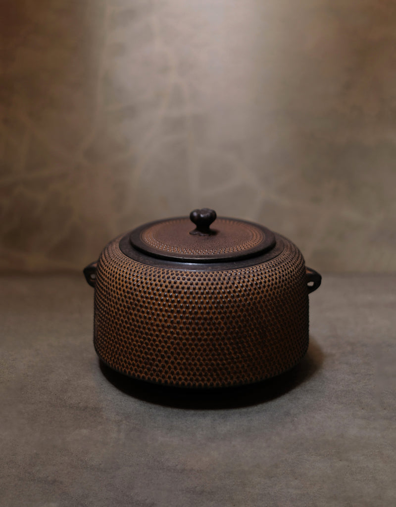 Japanese cooking pot